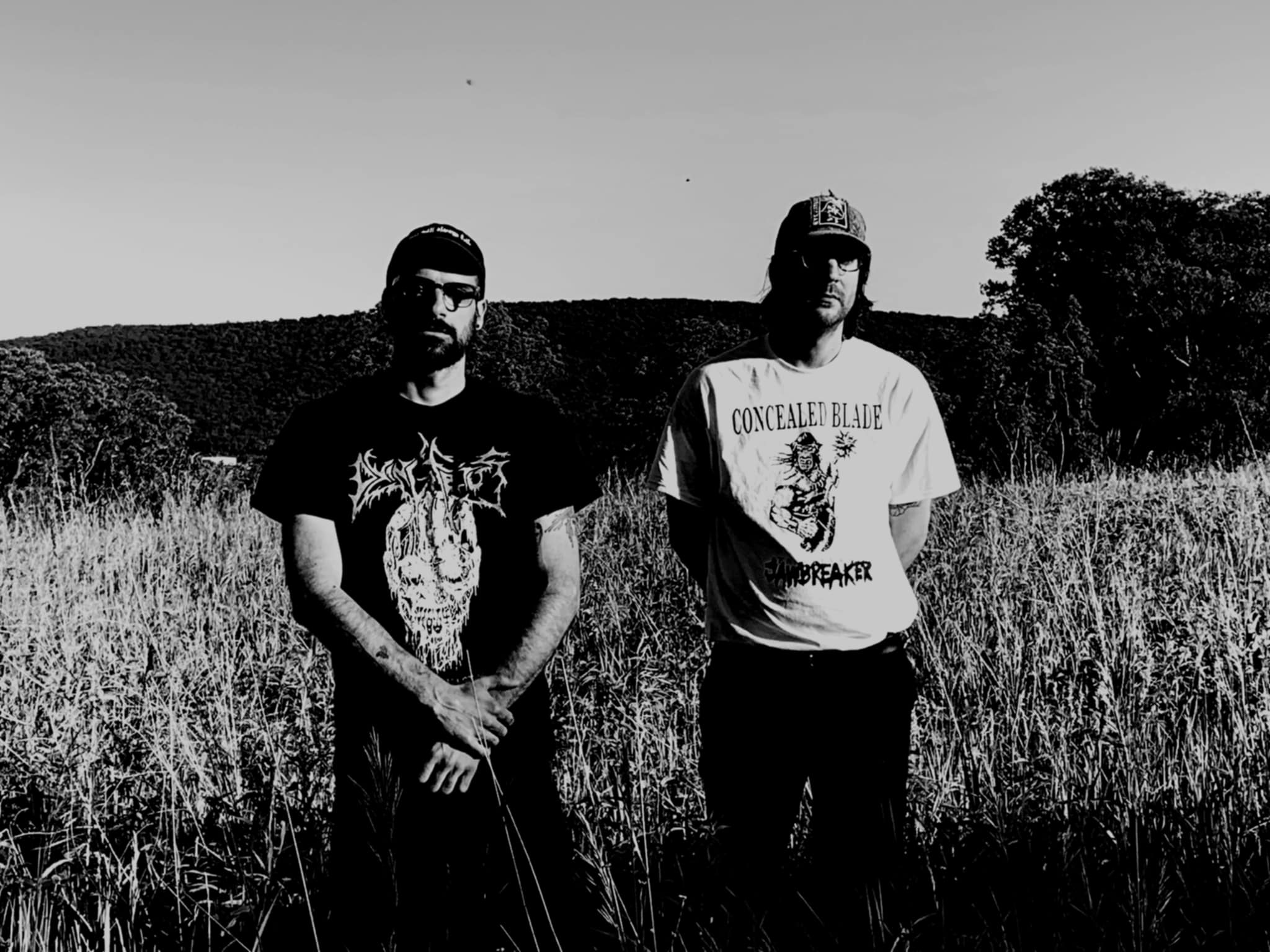 DRAOIDH Artist Image